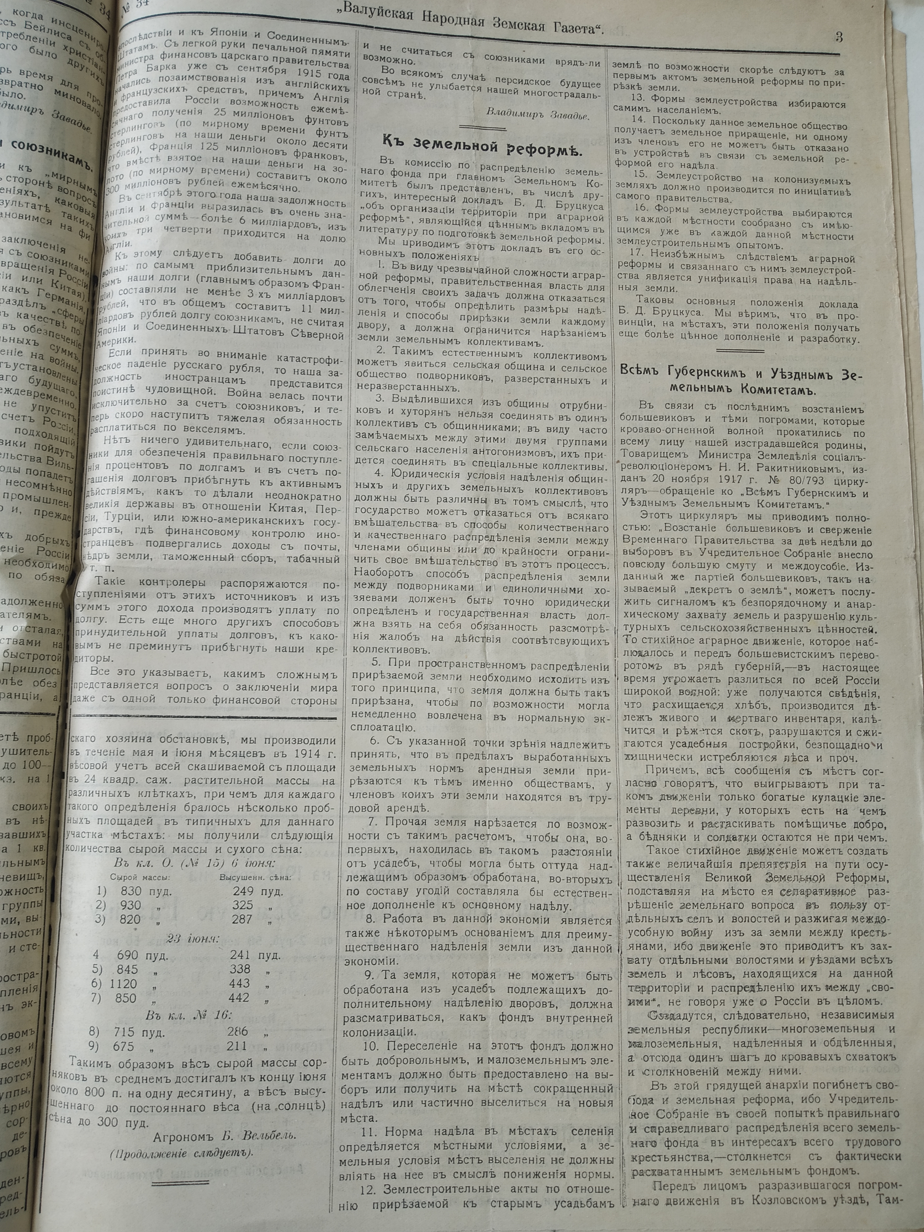 [Валуйская народная земская газета, 1917 год]